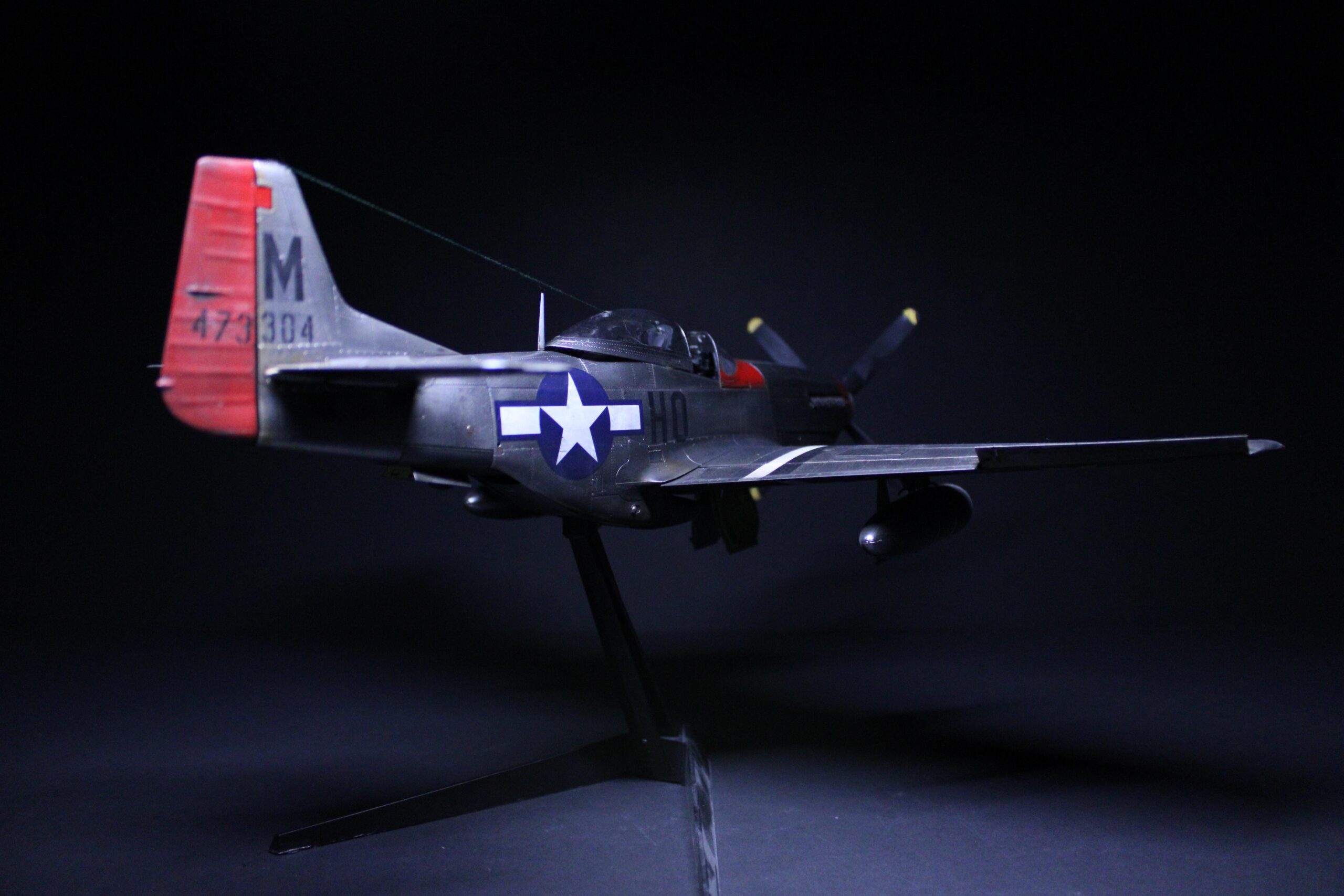 P51 Mustang9